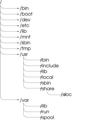 Стандартные каталоги в файловой системе UNIX